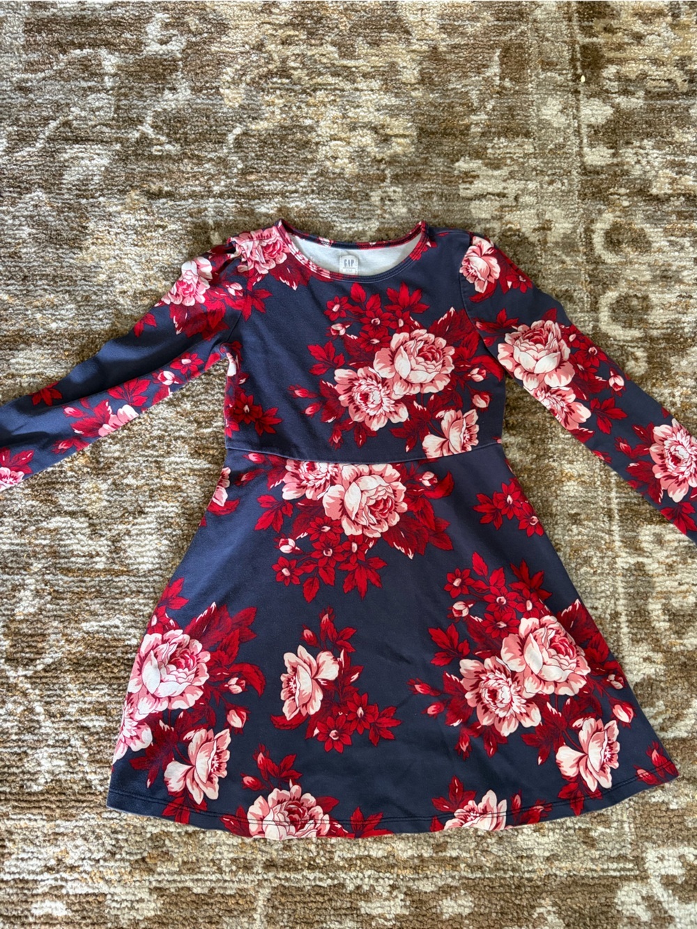 GAP Kids Navy Blue Floral Long Sleeve Dress with Pink and Red Flowers